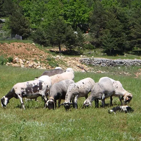 Poble Rural Puig Arnau - Pubilló Casa rural Odèn